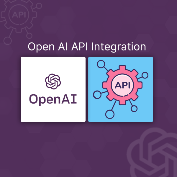 Open AI API Integration