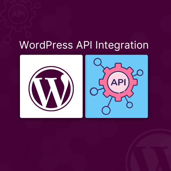 WordPress API Integration